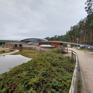 Elephant House - Africa elephant Loxondonta africana)