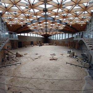 Elephant House - Africa elephant Loxondonta africana)