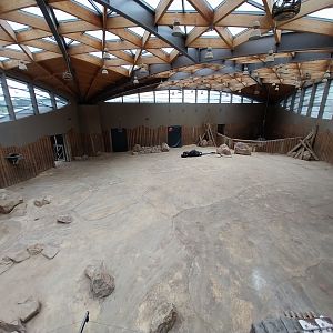 Elephant House - Africa elephant Loxondonta africana)