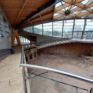 Elephant House - Africa elephant Loxondonta africana)