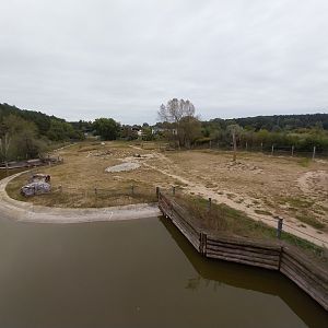 Elephant House - Africa elephant Loxondonta africana)