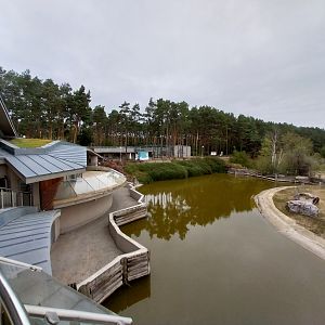 Elephant House - Africa elephant Loxondonta africana)