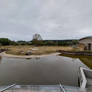 Elephant House - Africa elephant Loxondonta africana)