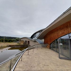 Elephant House - Africa elephant Loxondonta africana)