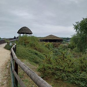 Elephant House - Africa elephant Loxondonta africana)