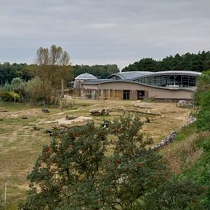 Elephant House - Africa elephant Loxondonta africana)