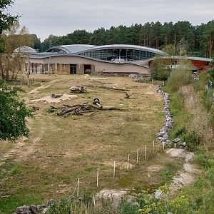 Elephant House - Africa elephant Loxondonta africana)