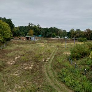 Elephant House - Africa elephant Loxondonta africana)