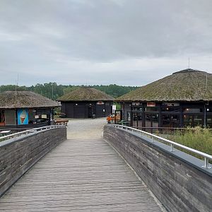 Elephant House - Africa elephant Loxondonta africana)