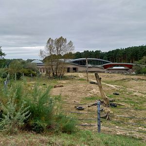 Elephant House - Africa elephant Loxondonta africana)