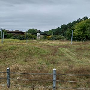 Elephant House - Africa elephant Loxondonta africana)