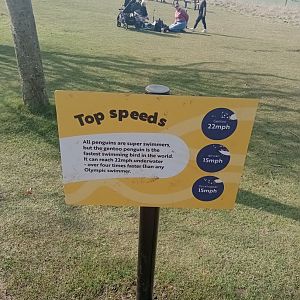 New signage about penguins