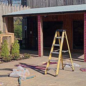 Lions of India construction