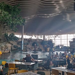 Dolphin Lagoon - Sea World Abu Dhabi