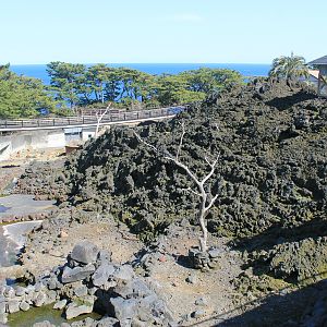 Aoudad and Lemur enclosure - Oshima Park Zoo