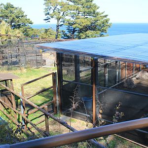 Emu enclosure - Oshima Park Zoo