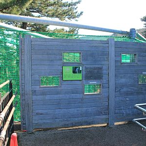 Peregrine Falcon aviary - Oshima Park Zoo