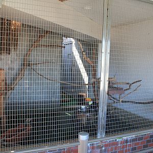 Toco Toucan aviary - Oshima Park Zoo