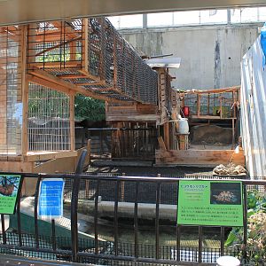 Sloths/tortoises - Oshima Park Zoo