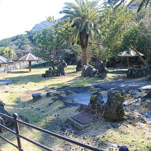 Aldabra Tortoise paddock - Oshima Park Zoo