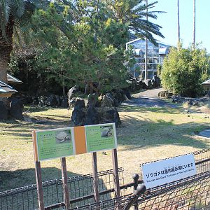 Aldabra Tortoise paddock - Oshima Park Zoo
