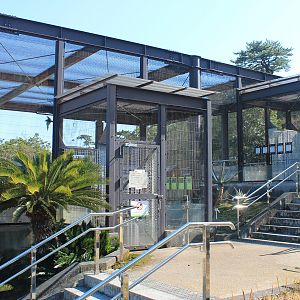 Aviaries - Oshima Park Zoo