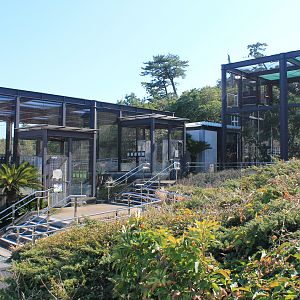 Aviaries - Oshima Park Zoo