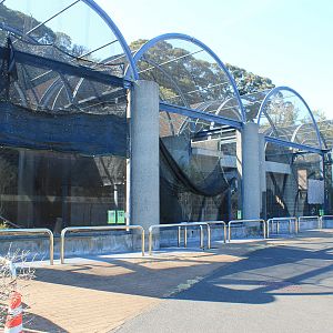 Aviaries - Oshima Park Zoo
