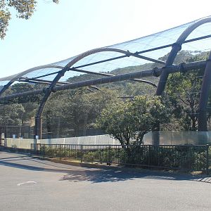 Flight Aviary - Oshima Park Zoo
