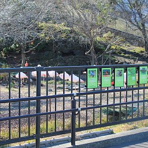 Flight Aviary interior - Oshima Park Zoo