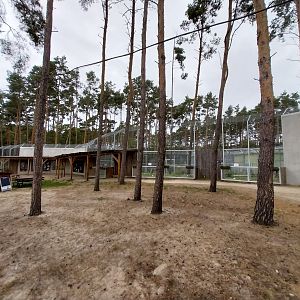 Visitor area between Tiger enclosures and the Elephant house