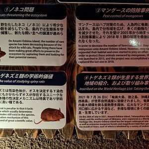 Amami Spiny Rat (Tokudaia osimensis) signage