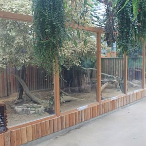 Enclosure for Pudu (Pudu puda)
