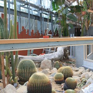 enclosure under construction