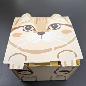Sand Cat box for fries