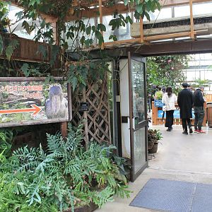 Entrance to Shoebill greenhouse