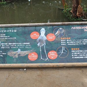 Signage for Shoebill (Balaeniceps rex)