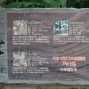 Signage for other species in Shoebill greenhouse