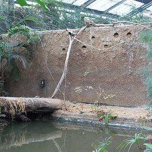 Bee-eater bank in Shoebill greenhouse