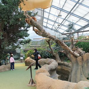 Enclosure for Red Pandas (Ailurus fulgens)