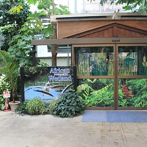 Entrance / Exit for African Wetland