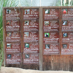 Bird signage for the African Wetland