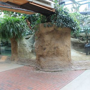 First enclosure for Pigmy Hippopotamus