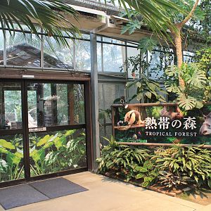 Entrance to Tropical Forest