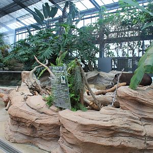 Enclosure for Brazilian Tapirs (Tapirus terrestris)