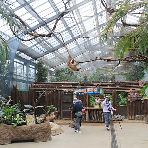 First hall of Tropical Forest