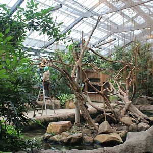 Second hall of Tropical Forest