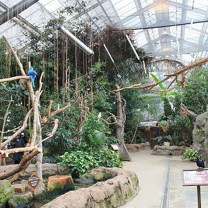 Second hall of Tropical Forest