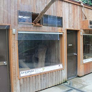 Tamandua and Common Marmoset housing