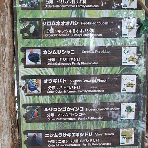 Bird signage